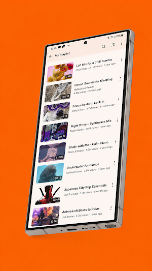 Fly Player Screenshot 1