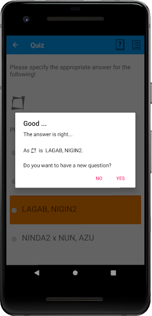 Learn Cuneiform by playing Screenshot 2