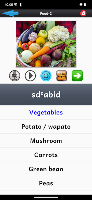 Tulalip Lushootseed Screenshot 2