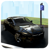 Real Carx Streat Parking