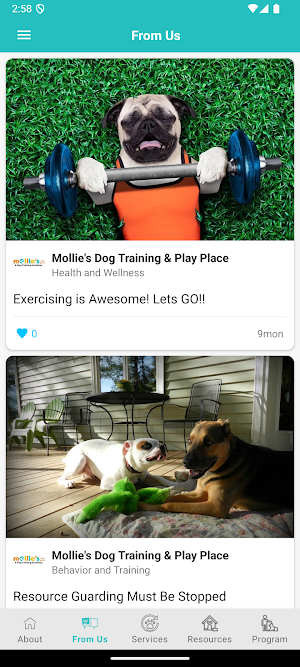 Mollie's Dog Place Screenshot 1