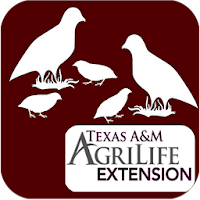 Bobwhite Habitat Evaluation