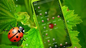 Ladybug Leaf Theme Screenshot 2