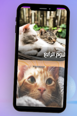 صور قطط Screenshot 3