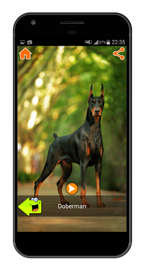 Best Dog Sounds Screenshot 1