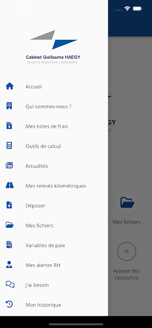 Cabinet HAEGY Screenshot 2