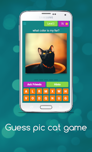 Guess Cute Cat Game Screenshot 3