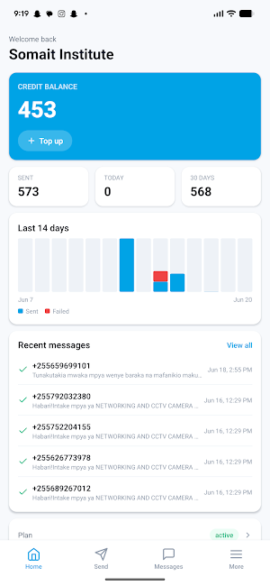 BulkSMS - TZ Screenshot 1