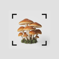 Mushroom ID By ShroomPic