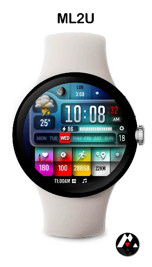 ML2U 254 Watch Face Screenshot 3