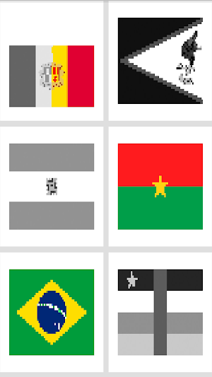 Color & Discover:Flag Coloring Screenshot 1