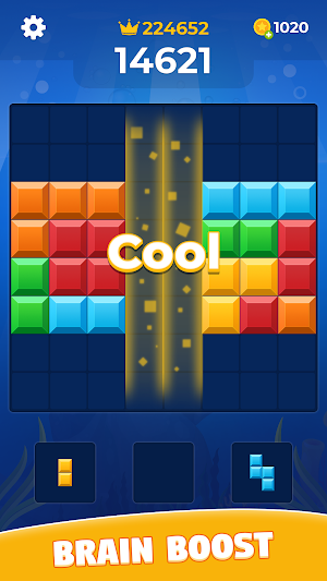 Block Puzzle Screenshot 2