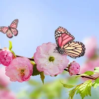Spring Wallpaper