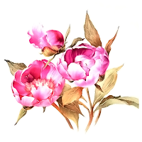 Watercolor Painting Ideas