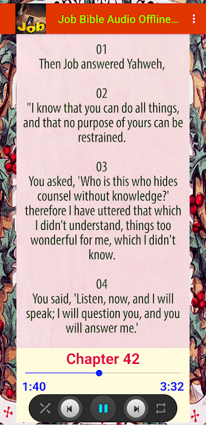Job Bible Audio Offline (WEB) Screenshot 3