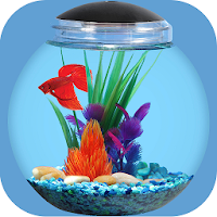 Aquarium Decoration Ideas