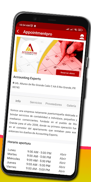 Accounting Experts Screenshot 2
