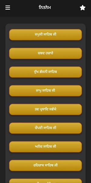 SIKH NITNEM Screenshot 0