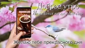 Good Morning Everyday Greetings in Russian Screenshot 0