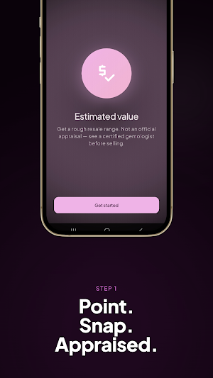 Jewelry ID: Value & Gems Screenshot 2