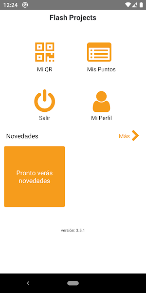 Flash Projects Screenshot 2