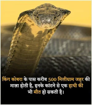 रोचक तथ्य | Rochak Tathya - Unknown Facts in Hindi Screenshot 0