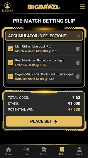 Big Baazi Casino Screenshot 3
