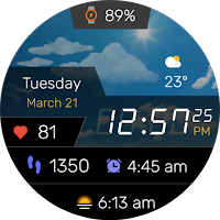 Digitec Pro Watch Face