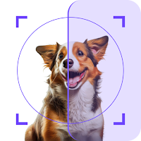 Animal Breed AI-Recognition