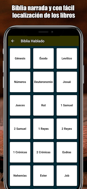Biblia Con Letra Gigante Screenshot 2