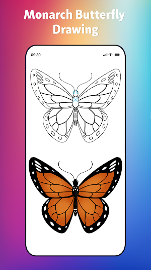 How to Draw Butterfly Screenshot 1
