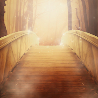 Foggy Live Wallpaper