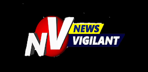 News Vigilant Screenshot 2