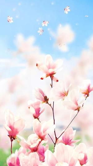 Magnolia Flower Live Wallpaper Screenshot 1