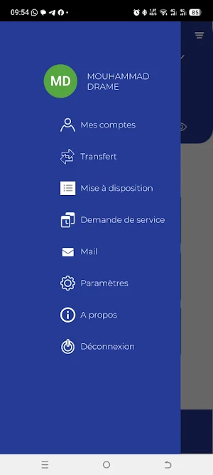 S-FINANCES Screenshot 2