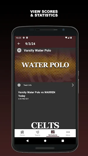 Crespi Celts Screenshot 2