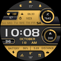 LCD Orange Yellow ZKin Watch