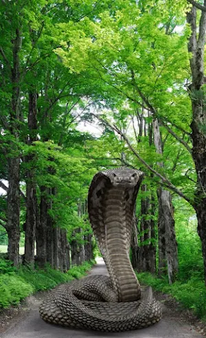Cobra Attack Live Wallpaper Screenshot 3