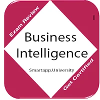 Business Intelligence: Concepts,Notes and Quizzes