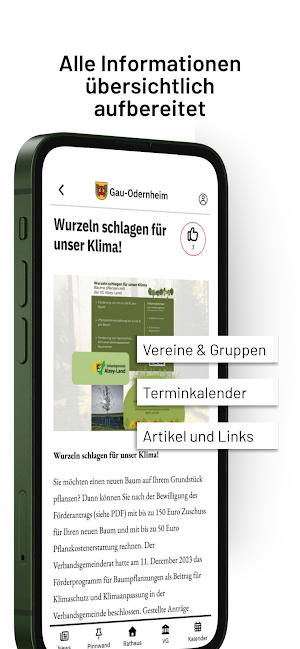 Gau-Odernheim Screenshot 3
