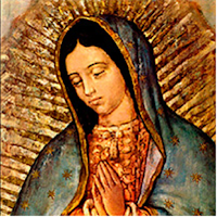 Novena Virgen de Guadalupe