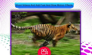Slow Motion Video Editor Screenshot 1