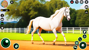 Star Equestrian : Horse Games Screenshot 0