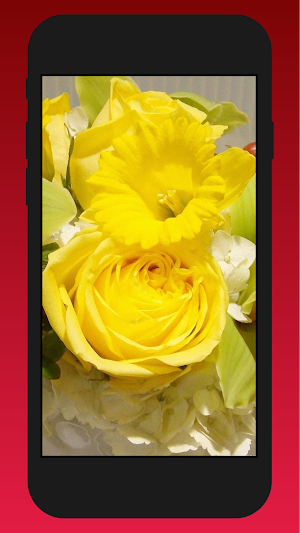 view in the yellow wallpaper Screenshot 2