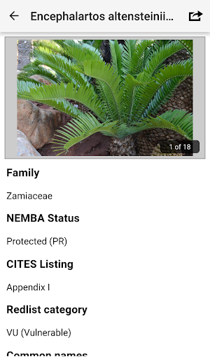 IDentifyIt Cycads Screenshot 2