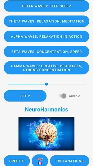 NeuroHarmonics Screenshot 2