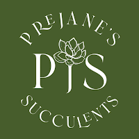 Prejane's Succulents