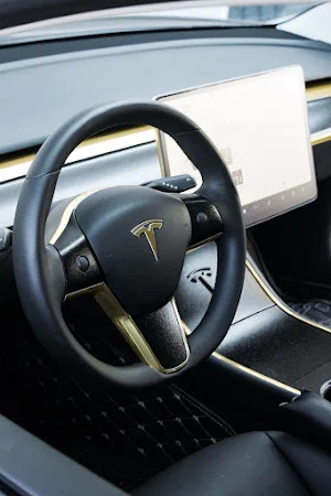 tesla model x Screenshot 0