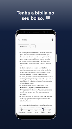 IBPAZVG Screenshot 2