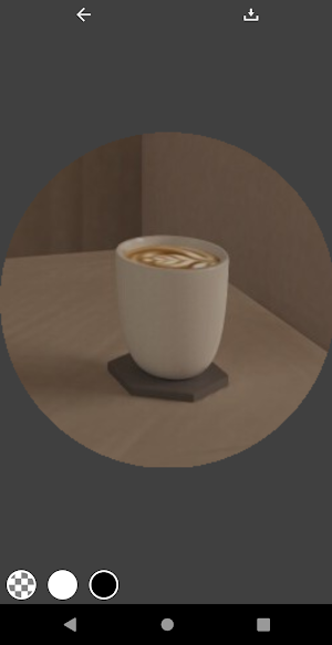 Circle Photo Screenshot 2
